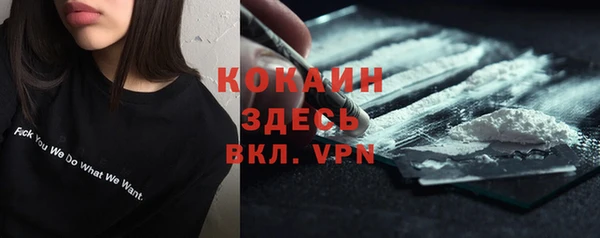 мяу мяу мука Арсеньев